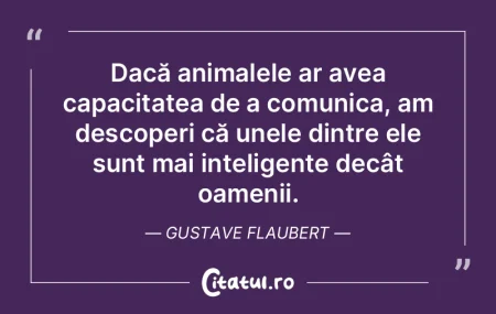 Există persoane care comit infracțiuni...