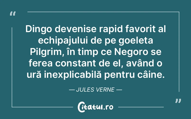 Citat Jules Verne - citate oameni