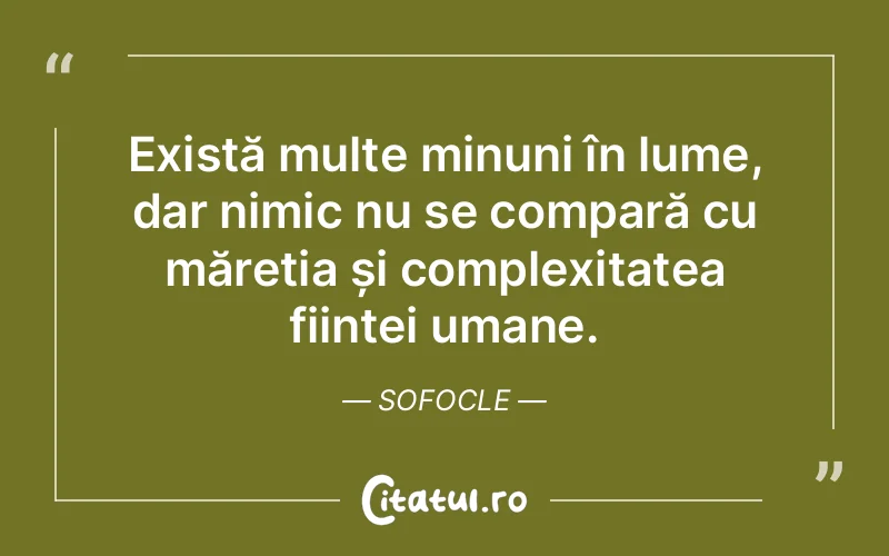 Citat Sofocle - citate oameni