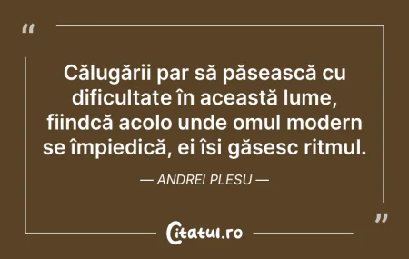 Am învățat să îmi trăiesc viața, ... Am învățat să îmi trăiesc viața, ...