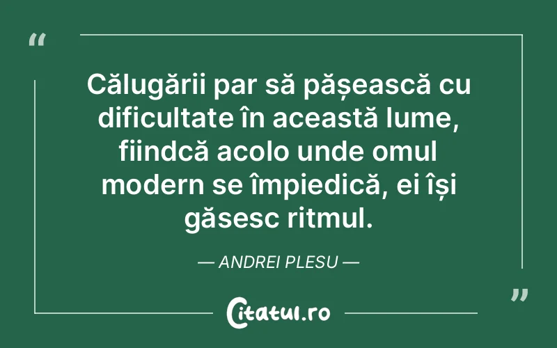 Citat Andrei Plesu - citate oameni