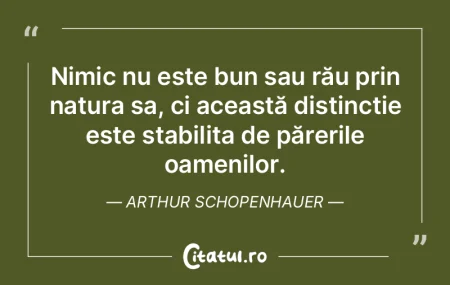 Cine reflectă mai bine chipul omului: f...