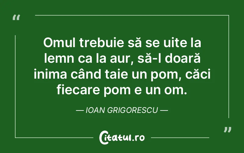 Citat Ioan Grigorescu - citate oameni