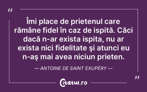 Citat Prietenie - Citatul.ro