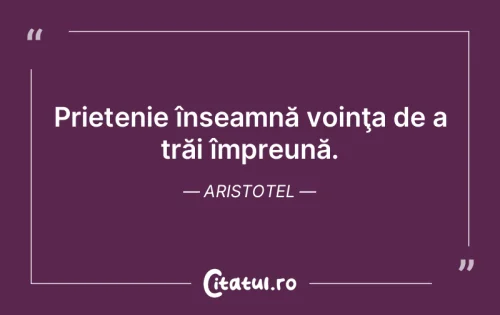 Citat Prietenie - Citatul.ro