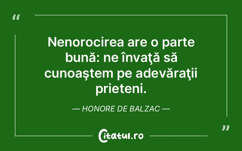 Citat Autor necunoscut - citate prietenie