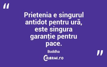 Prietenia e singurul antidot pentru ură, este singura garanţie pentru pace. Buddha...