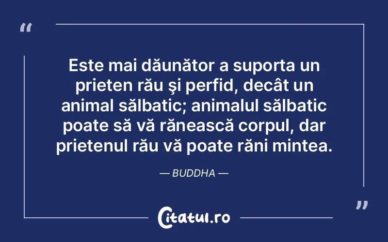 Citat Buddha - citate prietenie