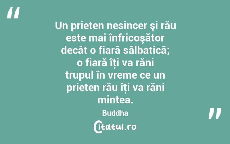 Un prieten nesincer şi rău este mai înfricoşător decât o fiară sălbatică; o fiară îţi va răni trupul în vreme ce un prieten rău îţi va răni mintea. Buddha