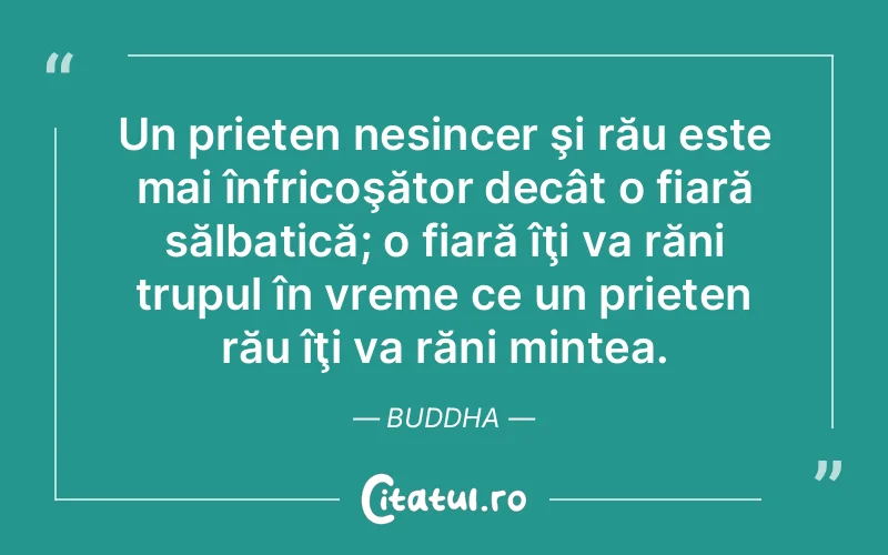 Citat Buddha - citate prietenie