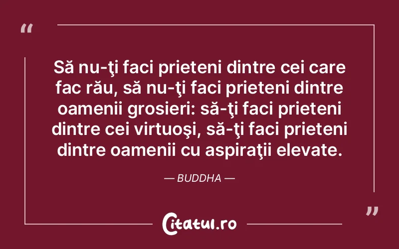 Citat Autor necunoscut - citate prietenie