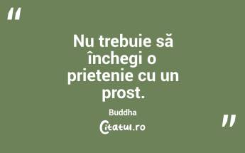Nu trebuie să închegi o prietenie cu un prost. Buddha...