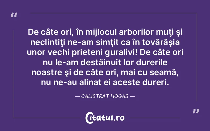 Citat Autor necunoscut - citate prietenie