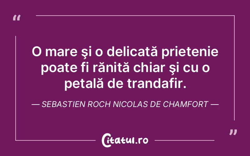 Citat Autor necunoscut - citate prietenie