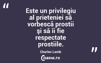 Este un privilegiu al prieteniei să vorbescă prostii şi să îi fie respectate prostiile. Charles Lamb...
