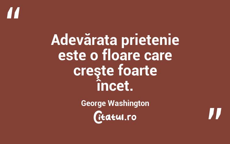 Adevărata prietenie este o floare care creşte foarte încet. George Washington
