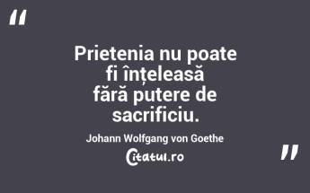  Prietenia nu poate fi înţeleasă fără putere de sacrificiu. Johann Wolfgang von Goethe...