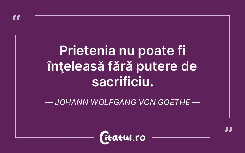 Citat Autor necunoscut - citate prietenie