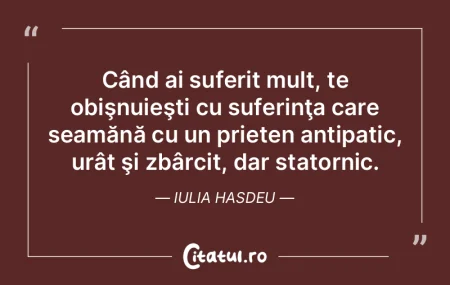 Când ai suferit mult, te obişnuieşti ...