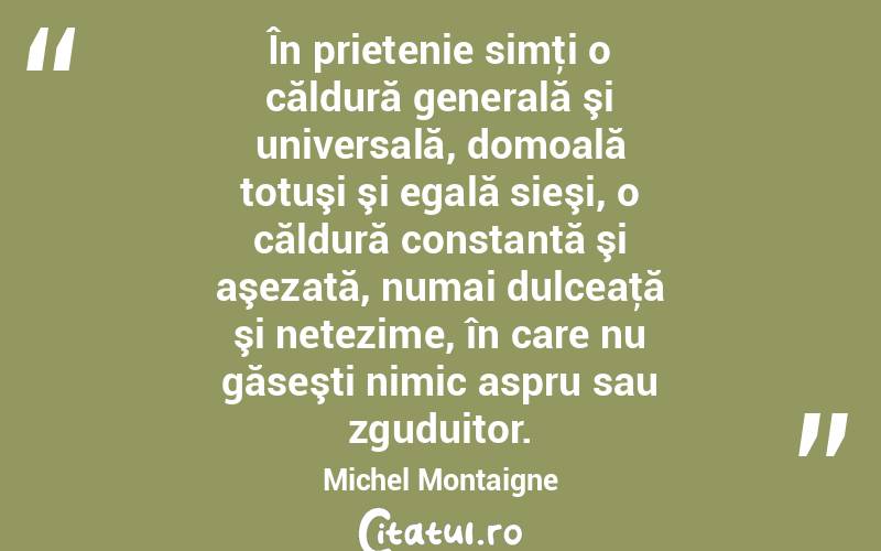 În prietenie simţi o căldură generală şi universală, domoală totuşi şi egală sieşi, o căldură constantă şi aşezată, numai dulceaţă şi netezime, în care nu găseşti nimic aspru sau zguduitor. Michel Montaigne