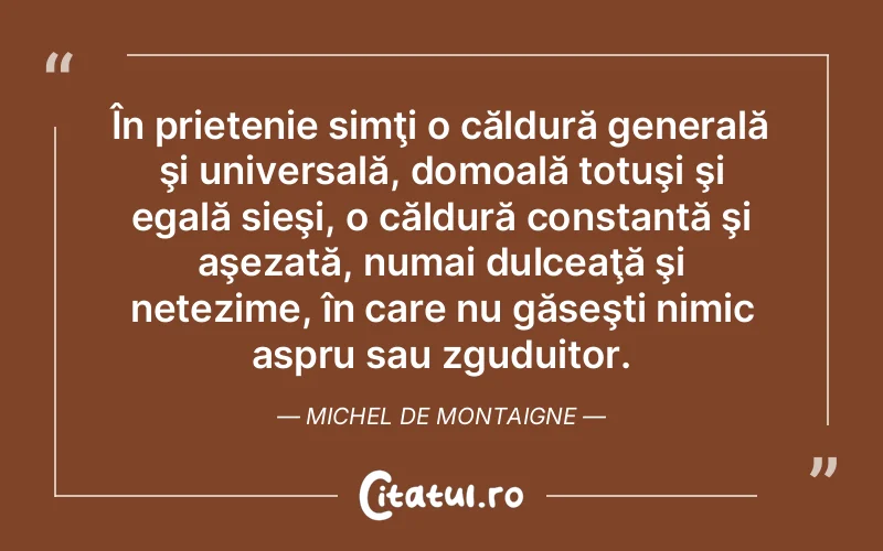 În prietenie simţi o căldură generală şi universală, domoală totuşi şi egală sieşi, o căldură constantă şi aşezată, numai dulceaţă şi netezime, în care nu găseşti nimic aspru sau zguduitor. Michel de Montaigne