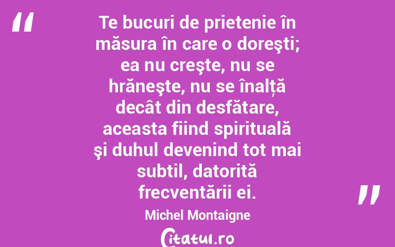 Te bucuri de prietenie în măsura în care o doreşti; ea nu creşte, nu se hrăneşte, nu se înalţă decât din desfătare, aceasta fiind spirituală şi duhul devenind tot mai subtil, datorită frecventării ei. Michel Montaigne