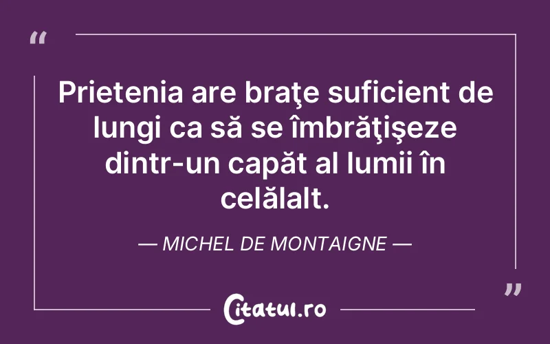 Citat Autor necunoscut - citate prietenie