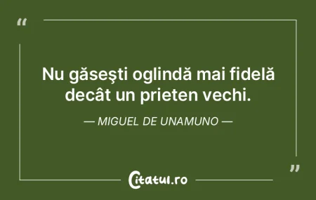 Nu găseşti oglindă mai fidelă decât...