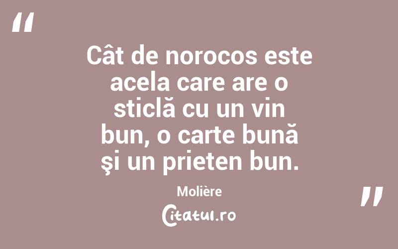 Cât de norocos este acela care are o sticlă cu un vin bun, o carte bună şi un prieten bun. Molière
