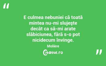 E culmea nebuniei că toată mintea nu-mi slujeşte decât ca să-mi arate slăbiciunea, fără s-o pot nicidecum învinge. Molière...