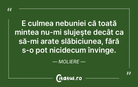 E culmea nebuniei că toată mintea nu-m...