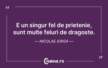 E un singur fel de prietenie, sunt multe...