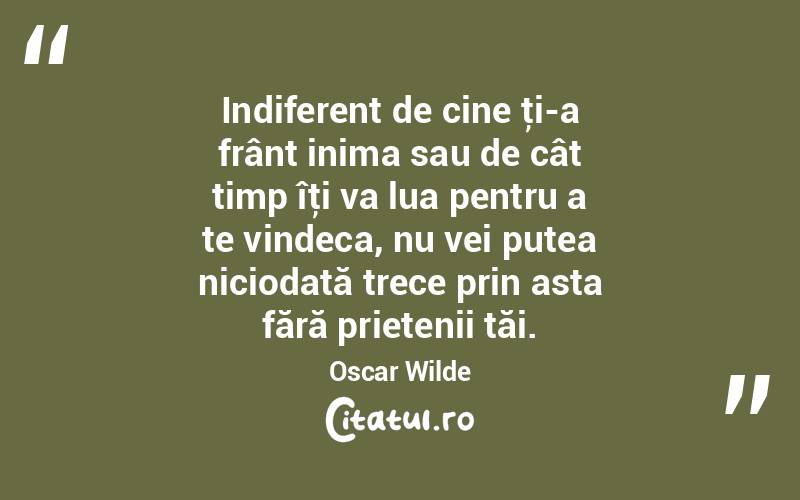 Indiferent de cine ţi-a frânt inima sau de cât timp îţi va lua pentru a te vindeca, nu vei putea niciodată trece prin asta fără prietenii tăi. Oscar Wilde
