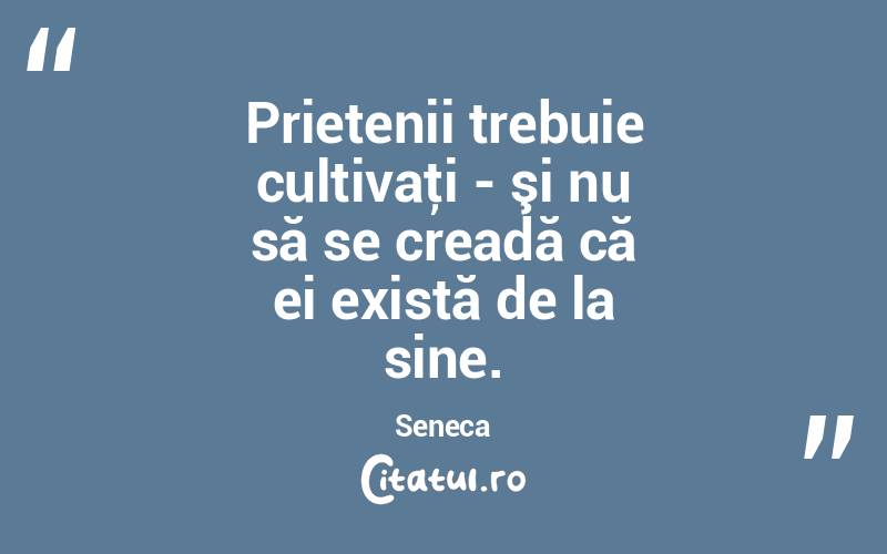 Prietenii trebuie cultivaţi - şi nu să se creadă că ei există de la sine. Seneca
