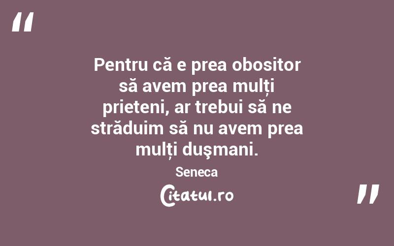 Pentru că e prea obositor să avem prea mulţi prieteni, ar trebui să ne străduim să nu avem prea mulţi duşmani. Seneca