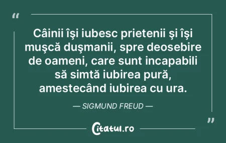 Câinii îşi iubesc prietenii şi îşi...