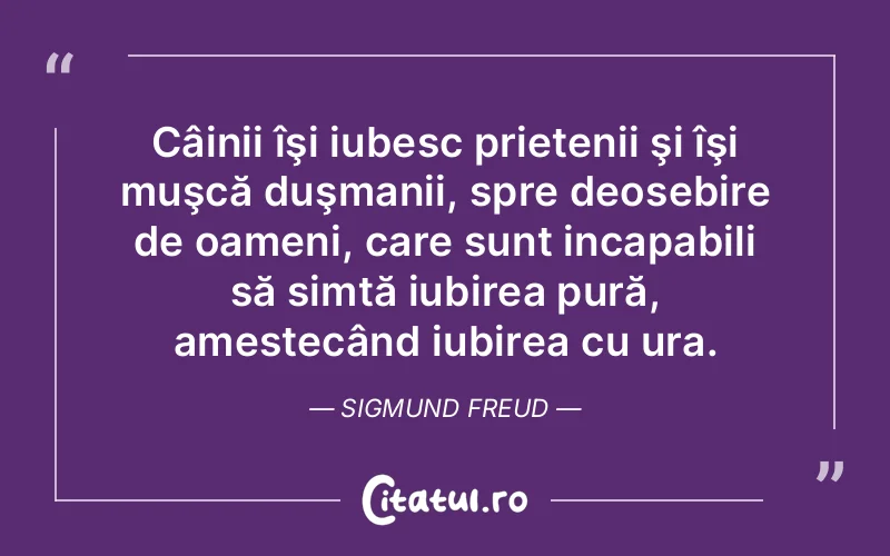 Citat Sigmund Freud - citate prietenie