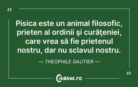 Pisica este un animal filosofic, prieten...