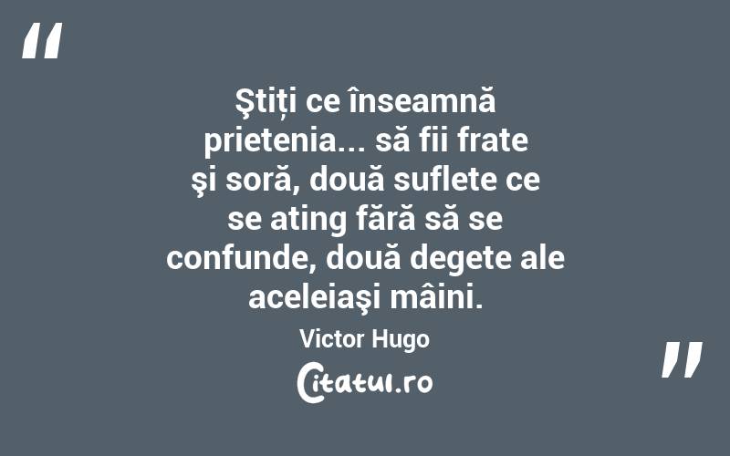  Ştiţi ce înseamnă prietenia... să fii frate şi soră, două suflete ce se ating fără să se confunde, două degete ale aceleiaşi mâini. Victor Hugo
