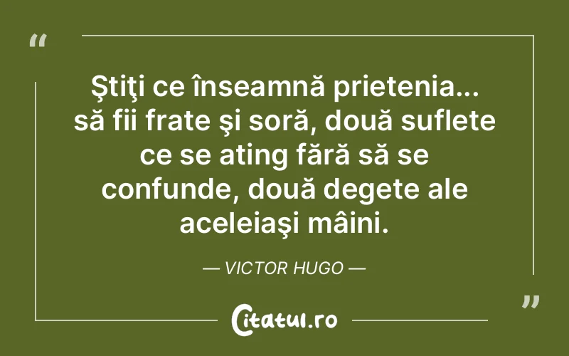 Citat Victor Hugo - citate prietenie