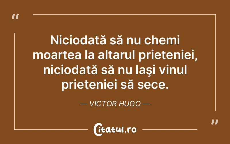 Citat Victor Hugo - citate prietenie