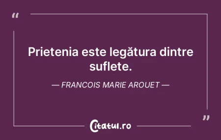 Prietenia este legătura dintre suflete....