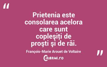 Prietenia este consolarea acelora care sunt copleşiţi de proşti şi de răi. François-Marie Arouet de Voltaire...