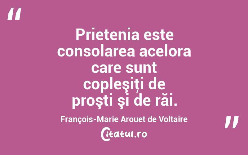 Prietenia este consolarea acelora care sunt copleşiţi de proşti şi de răi. François-Marie Arouet de Voltaire
