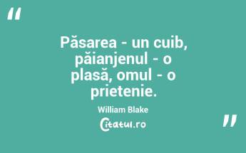 Păsarea - un cuib, păianjenul - o plasă, omul - o prietenie. William Blake...