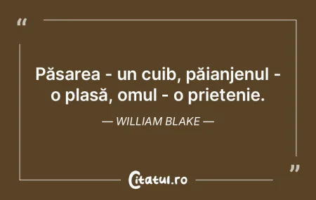 Păsarea - un cuib, păianjenul - o plas...