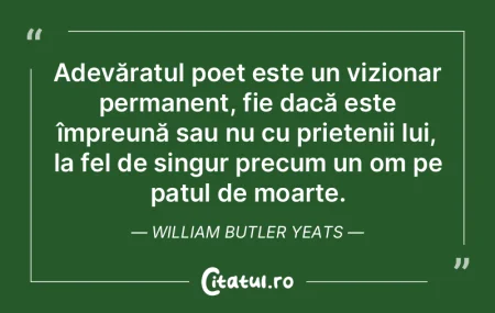 Adevăratul poet este un vizionar perman...