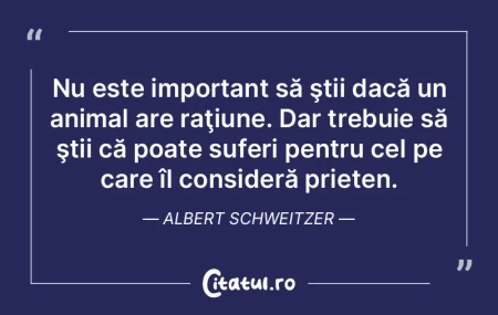  Nu este important să ştii dacă un an...