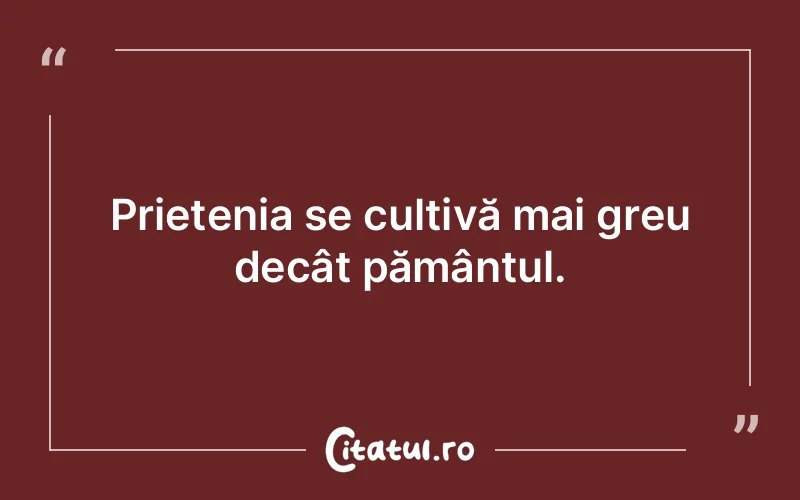 Citat Autor necunoscut - citate prietenie