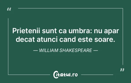 Prietenii sunt ca umbra: nu apar decat a...